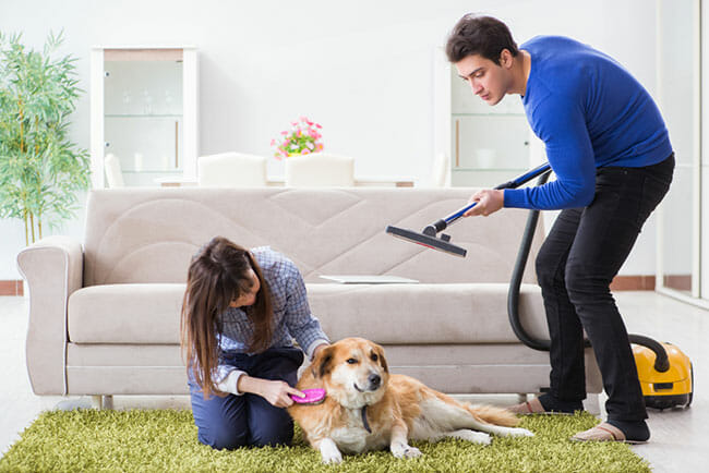 Best Pet Vacuum Cleaners Of 2021 - Best Pet Vacuum Cleaners