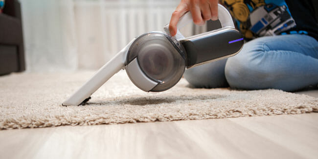Benefits Of Handheld Pet Vacuums - Best Pet Vacuum Cleaners